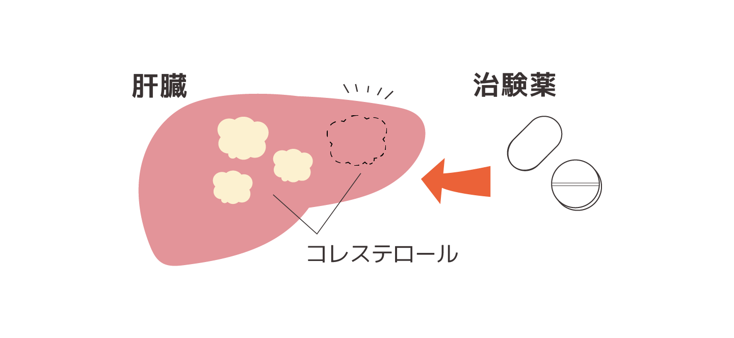 治験薬の仕組み PC用