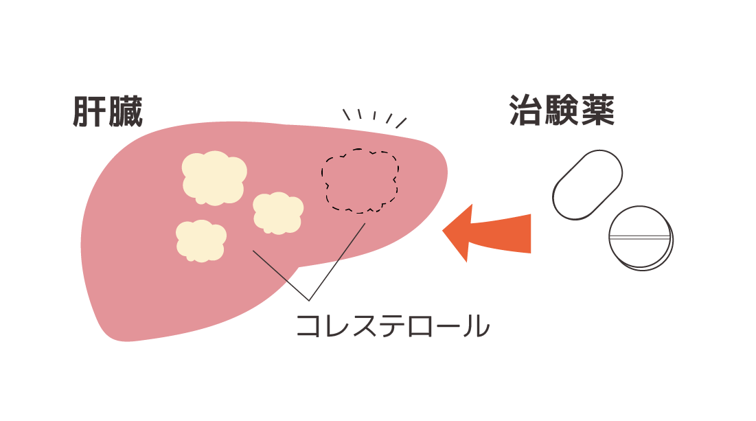 治験薬の仕組み SP用