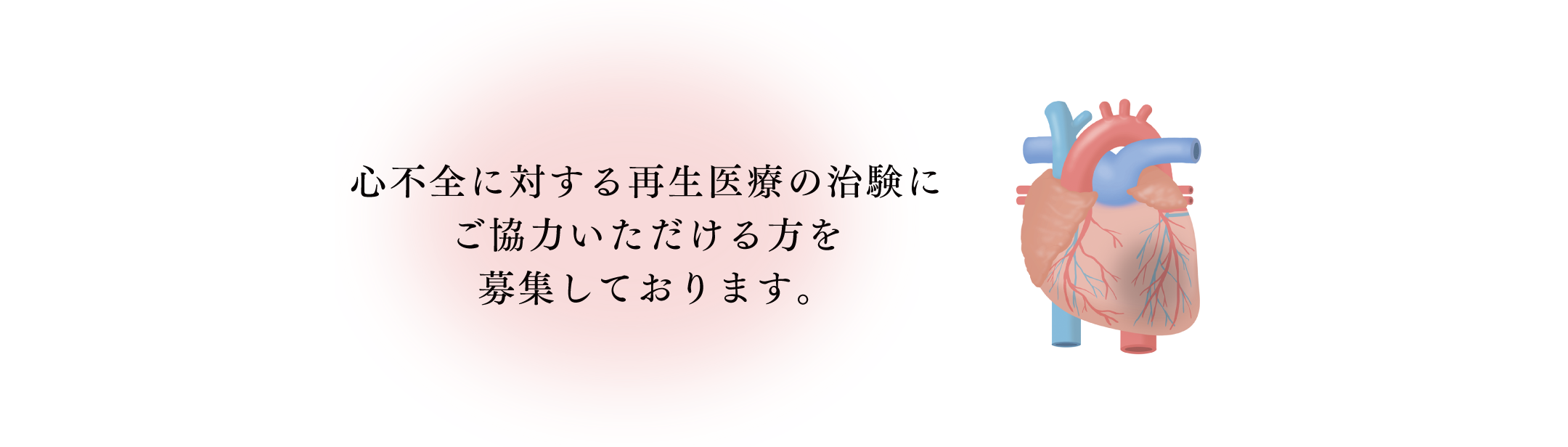 心不全に対する再生医療の治験にご協力いただけるかたを募集しております。