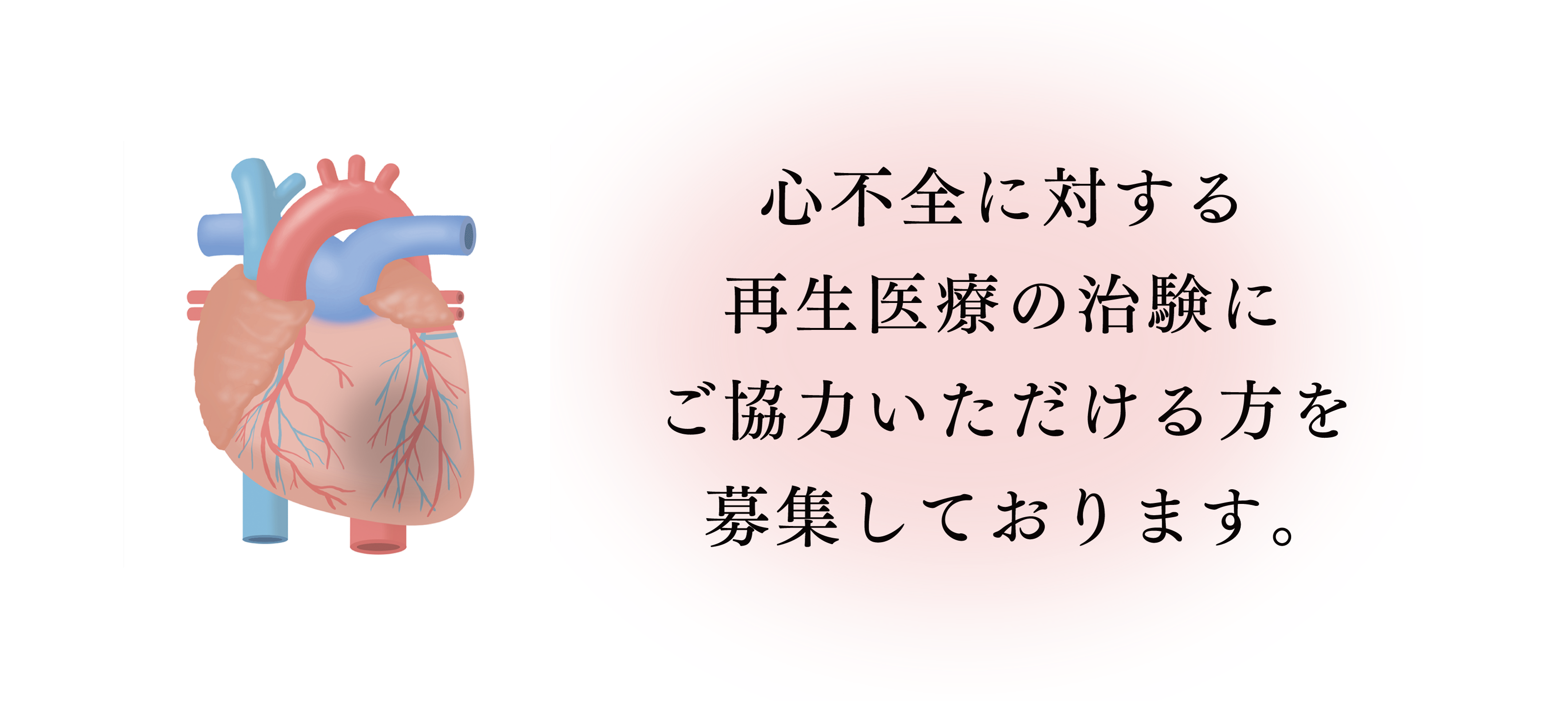 心不全に対する再生医療の治験にご協力いただけるかたを募集しております。