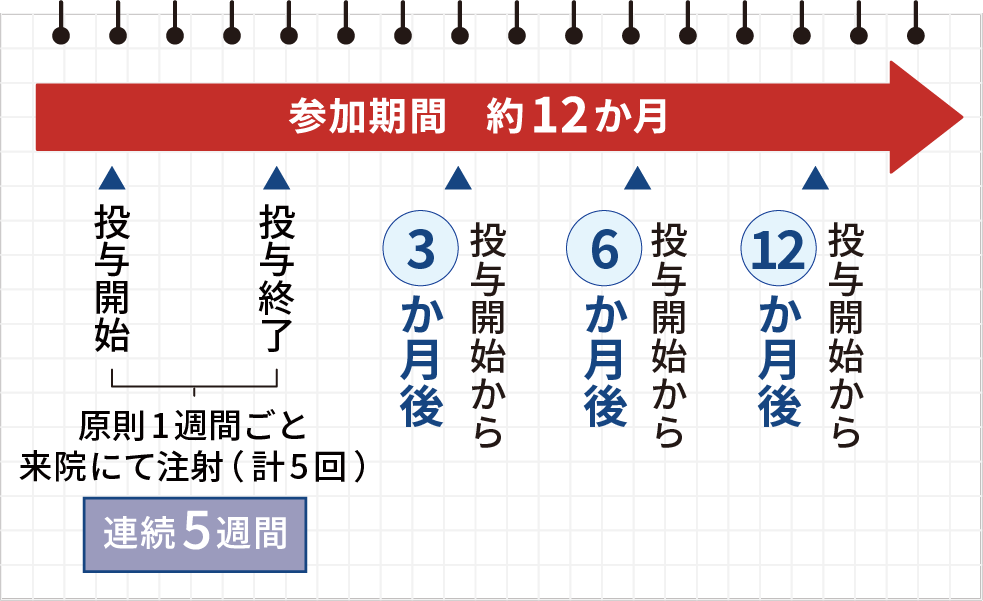 試験期間は約12か月間です。参加が決定しますと、原則週に1度、5週間連続して膝に注射をします。